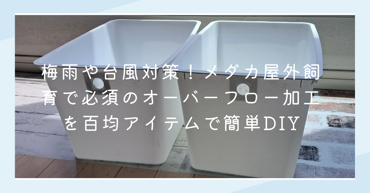 梅雨や台風対策！メダカ屋外飼育で必須のオーバーフロー加工を百均アイテムで簡単DIY | ｔｋｓメダカblog